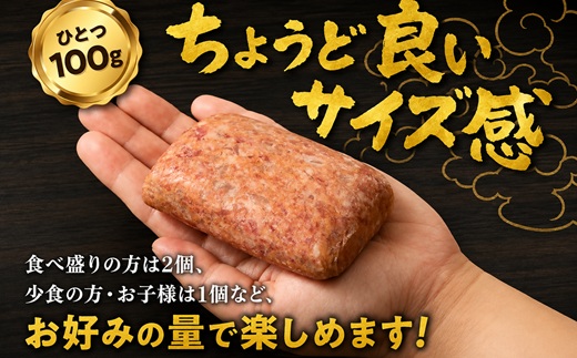 松阪牛 生ハンバーグ 1kg ( 100g ? 10個 )【1-439】