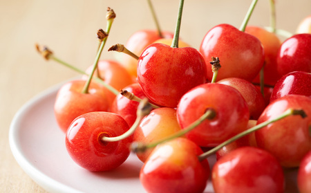 【定期便5回】ノノハナフルーツ 笑顔はなまる定期便 FY25-329