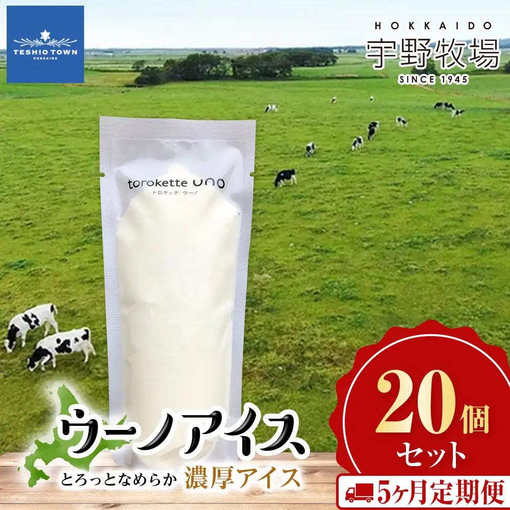 【定期便5カ月ウーノアイス 20個セット
