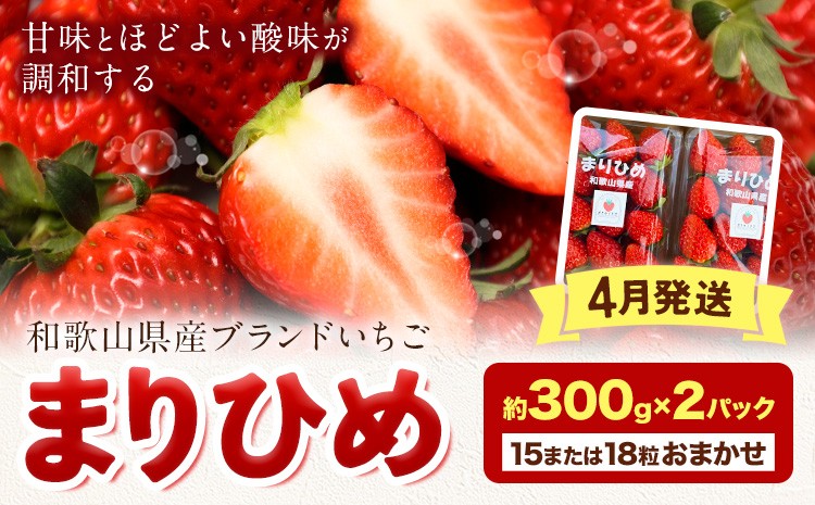 
                  【先行予約】【2027年4月発送】和歌山県産ブランド いちご「まりひめ」約300g×2パック (15または18粒おまかせ) 日高町厳選館《4月上旬-4月下旬頃出荷予定》和歌山県 日高町 送料無料 苺 鞠姫 マリヒメ フルーツ 果物 お取り寄せ 【配送不可地域あり】
                