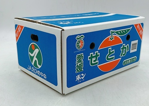 【2027年先行予約】みかん せとか 約5kg L～3Lサイズ ご家庭用 バラ詰め 【2027年2月中旬より順次発送予定】 人気 数量限定 柑橘 愛媛 伊予市｜B193 約5kg