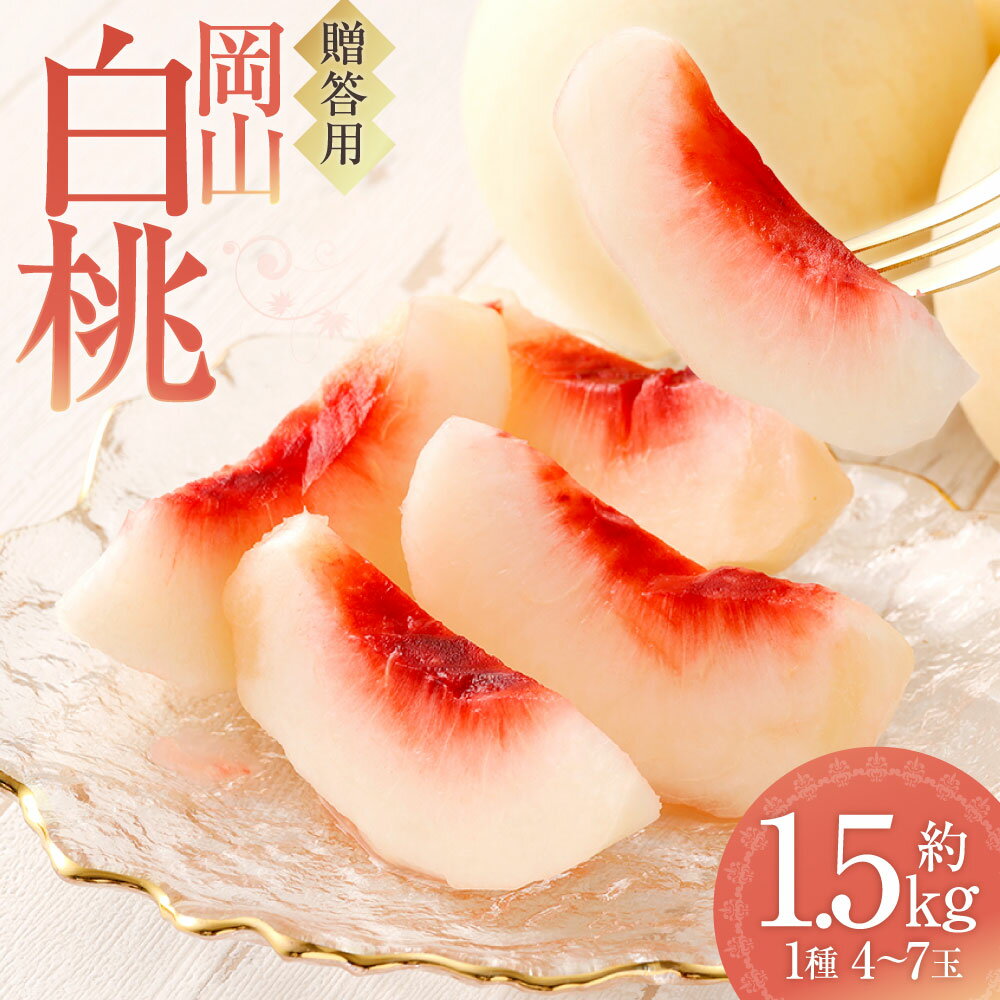 【ふるさと納税】贈答用（赤秀） 岡山白桃 約1.5kg 1種 4～7玉 白桃 桃 もも モモ フルーツ くだもの 果物 果実 デザート ギフト 贈答 贈り物 冷蔵 岡山県 倉敷市 送料無料 【2026年6月下旬～9月上旬迄順次発送予定】