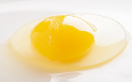 平飼い有精卵『たつかの恵み』40個×3ヶ月連続お届け 【 ふるさと納税 人気 おすすめ ランキング 卵 たまご タマゴ たまごかけご飯 目玉焼き ゆでたまご 卵焼き 定期便 北海道 壮瞥町 送料無料 