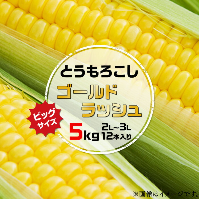【ふるさと納税】スイートコーン「ゴールドラッシュ」5kg（2L～3L 12本入り）2401