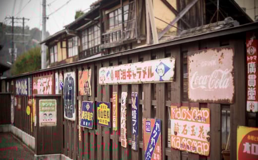 ”プライベートガイドと巡る” 臥龍山荘 と シネマ散策 「10名様」 旅行 ガイド付き ガイド 散策 トラベル 観光 チケット （805）