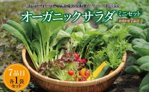 
            【セット】オーガニックサラダミニセット【植物性肥料と植物性追肥を使って育てた葉野菜ブランド】葉野菜７品目×1パック
          