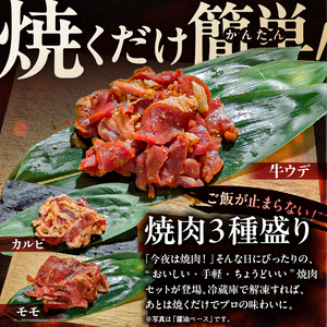  焼肉セット 3種 （豆板醤）【195018】 味付け 豆板醤 簡単 600g BBQ バーベキュー 牛モモ 牛カルビ 牛ウデ 小分け 冷凍保存