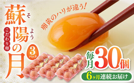 【全6回定期便】蘇陽の月 こだわり卵 30個入り 卵 卵 卵 卵 卵[YBE019]