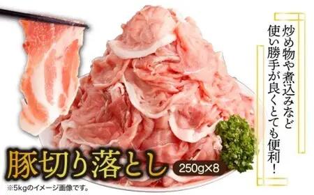 《2026年7月発送》豚肉切り落とし 250g×12パック 合計3kg_K033-024-2607