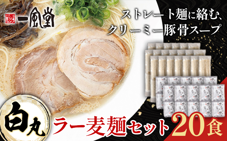 ラーメン 一風堂 白丸 ラー麦麺 セット 20食 地域商社ふるさぽ《90日以内に出荷予定(土日祝除く)》福岡県 鞍手町 ラーメン とんこつ 豚骨スープ 豚骨ラーメン ラー麦 麺---skr_fsipdr_90d_26_20500_20s---