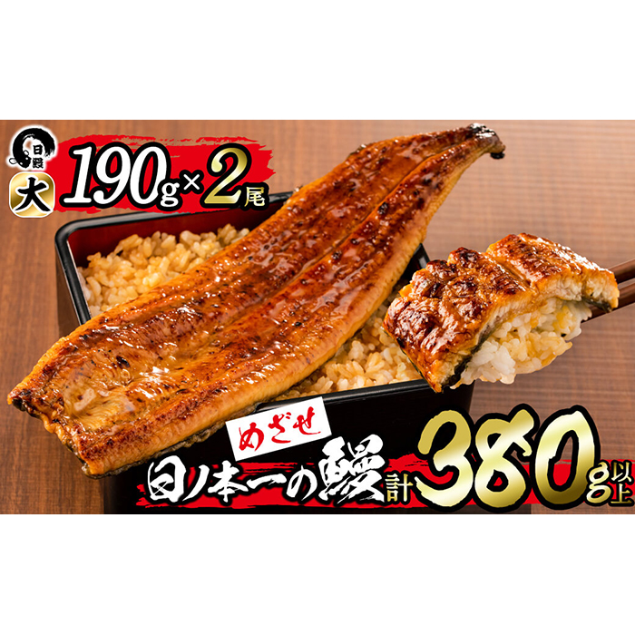 日ノ本一の鰻の蒲焼き＜大＞2尾(計380g以上) b1-018