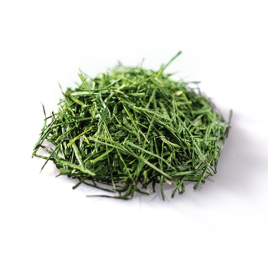 Liquid Tea 献上茶 静岡白葉茶 本山