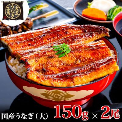 ふるさと納税 島田市 先行受付　【6月上旬より配送】　大五のうなぎ蒲焼　300g(150g×2尾) 国産うなぎ(大サイズ)