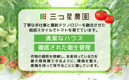 新鮮トマト 1ケース 約4㎏ (16～24玉入) ～三つ星クオリティ☆坂井の大自然が育てた、もぎたて新鮮トマト～【とまと トマト 野菜 生野菜 新鮮 リコピン ビタミン ダイエット 美容 美肌 産地直