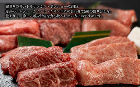 【数量限定】飛騨牛 希少部位5種 焼肉盛り合わせ 各100g  計500g (ラムシン、ボンショー、カイノミ、トモサンカク、シキンボウ) 牛肉 ブランド牛 国産 贈答 ギフト【冷凍】牛肉 肉 和牛 赤