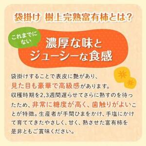 ◆先行予約◆［本場九度山町特産］富有柿の最高級ブランド「（袋掛け）樹上完熟富有柿」＜贈答用／赤秀＞11～13玉入り［2025年11月下旬以降発送］［MG5］柿 富有柿 贈答 先行予約 高級品