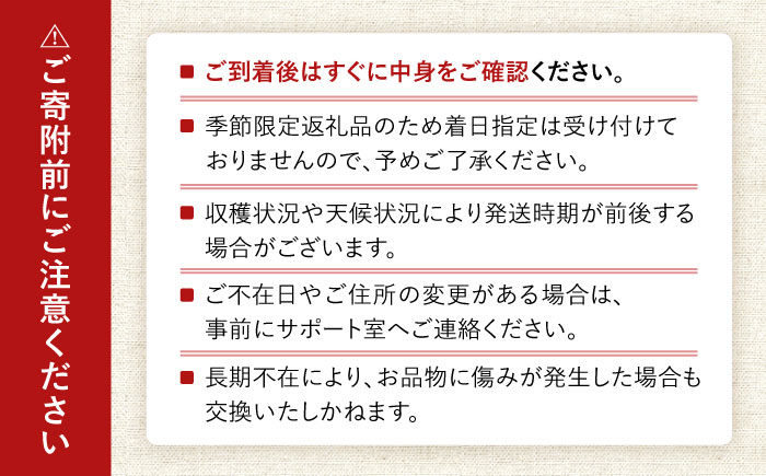 【2026年7月下旬から順次発送】 大村マンゴー 約800g (2L×2個) / 先行予約 マンゴー アップルマンゴー まんごー フルーツ トロピカルフルーツ 甘い 期間限定 国産 冷蔵配送  / 大