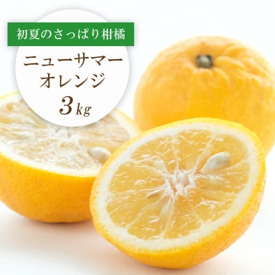 ワタまでおいしい!愛媛県八幡浜市産 ニューサマーオレンジ 3kg【C25−212】【1612591】