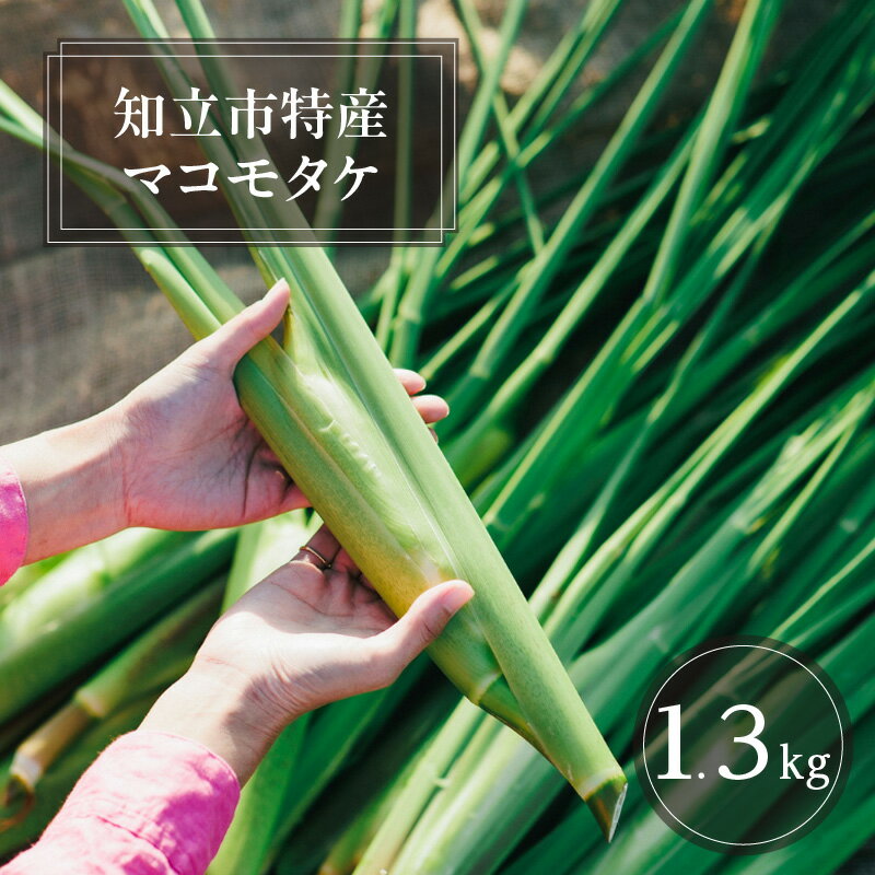 【ふるさと納税】知立市特産　マコモタケ1.3kg【10月発送】お料理レシピ付（1250） ／ 野菜 秋 旬 マコモ 中華料理 高級食材 特産品 ベジタブル 自然の恵み 送料無料