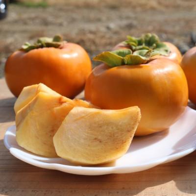 ふるさと納税 由良町 和歌山県産　柿　2.5kg