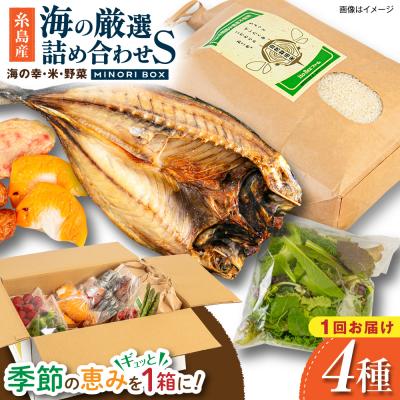 ふるさと納税 糸島市 糸島産 魚 米 野菜 果物 厳選詰め合わせ MINORI BOX S [AOP019]