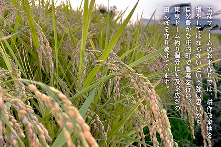 【新米受付 10月発送】R7年産 吉祥ファーム はえぬき 5kg（入金期限：2025.9.15）