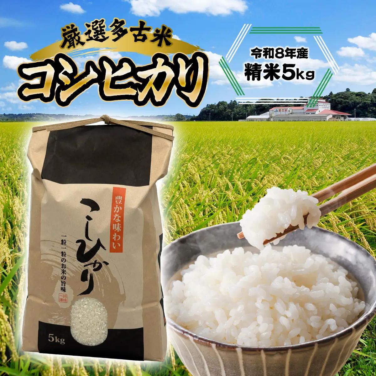 厳選多古米コシヒカリ　精米5kg　令和8年産_多古米 コシヒカリ 精米 【配送不可地域：離島・沖縄県】【1647790】 TAKF034