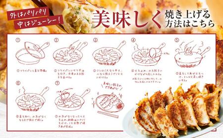 飛騨牛冷凍餃子 3箱（にんにく味）| たっぷり36個！  NL003｜ 高山市 餃子