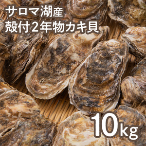 【カキナイフ付】海のミルクサロマ湖産殻付2年物カキ貝 10kg 80~100個入 ( 海鮮 魚介類 貝 お歳暮 お祝い BBQ )【031-0008-2023】