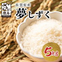 【ふるさと納税】鹿島市産 夢しずく 白米 5kg 米 お米 精米 国産 九州産 佐賀県 鹿島市 送料無料 C-124