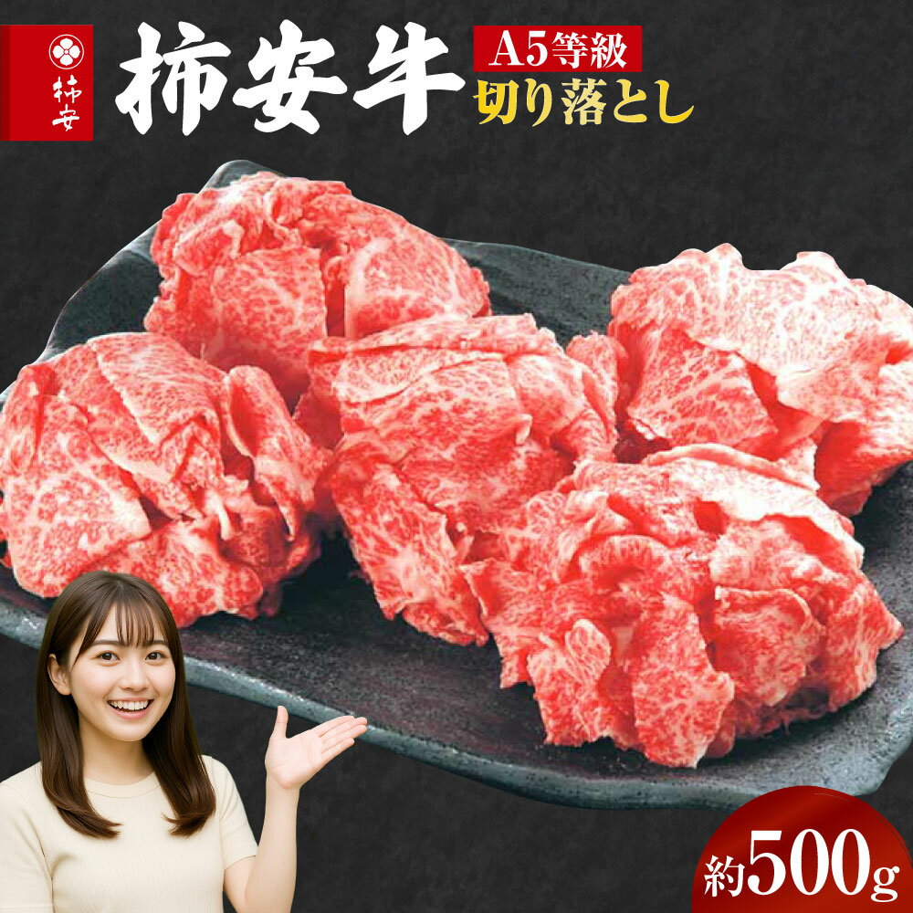 【ふるさと納税】【指定日必須】柿安 牛 切り落とし 約500g 柿安牛 国産 牛肉 国産牛 肉 A5等級 黒毛和牛 A5 和牛 三重県 桑名市 冷蔵 送料無料