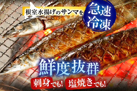 【北海道根室産】タラバガニむき身300g×1P・冷凍さんま5尾×3Pセット B-30049