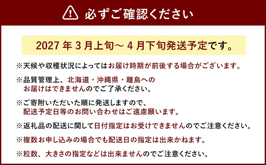 春のあまおう （2L・2A・G規格以上 6パック）【数量限定】