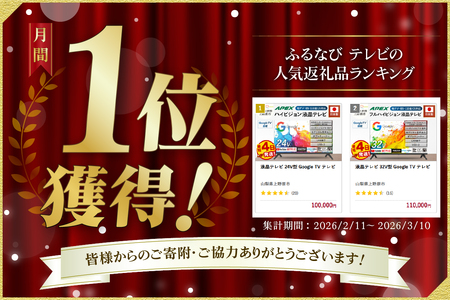 液晶テレビ 24型 Google TV テレビ
