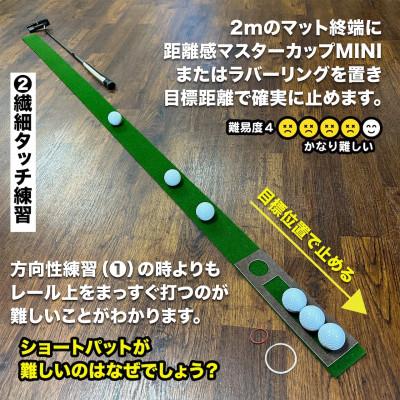 ふるさと納税 高知市 ゴルフ タッチがわかるパット練習レール 2枚組 (標準 最高速) パターマット工房製【AG054】 |  | 02