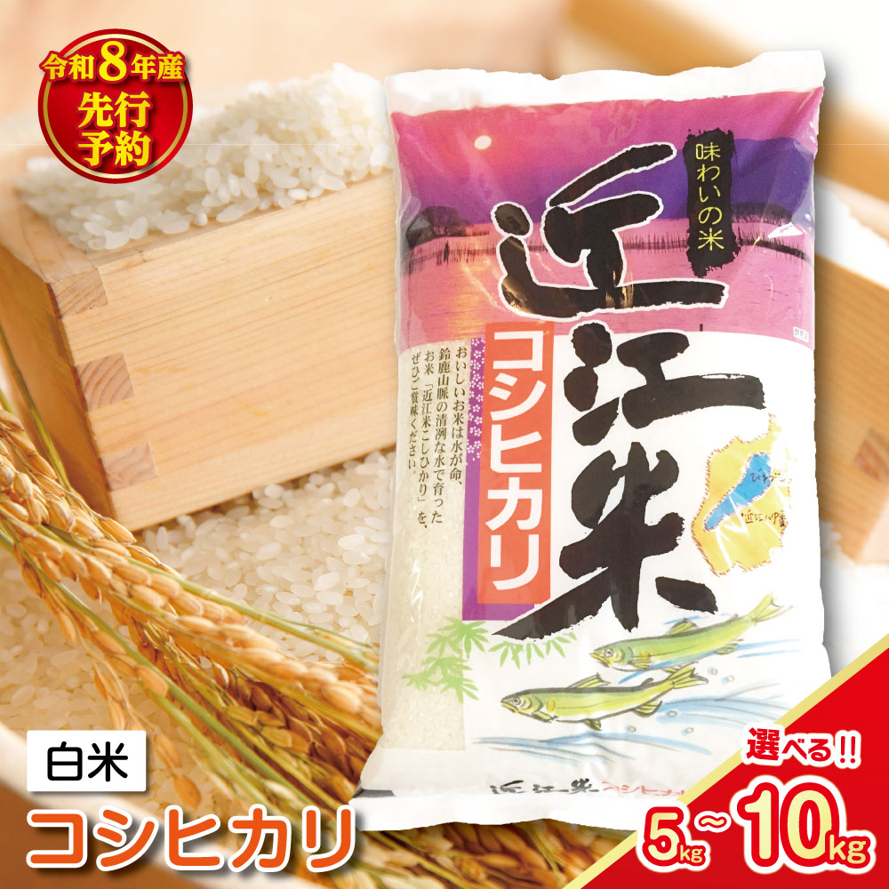 【ふるさと納税】【新米　先行予約】令和8年産 近江米 こしひかり コシヒカリ 5キロ / 10キロ 選べる 国産 滋賀県産 白米 精米 お米 とらわか 御中元 お中元