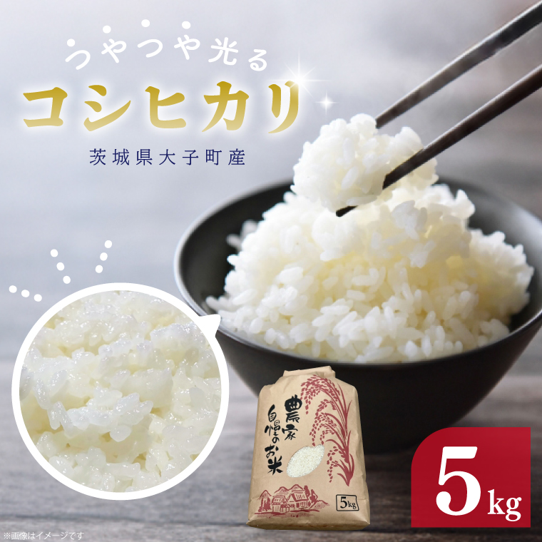 【 令和7年産】つやつや光るコシヒカリ 5kg 菊池農園｜茨城県 大子町 お米 白米 精米 産地直送（CL001-1）