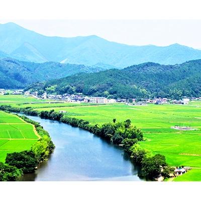 ふるさと納税 四万十町 7年産樽井商店の仁井田米　味くらべセット精米2kg×3種類 |  | 01