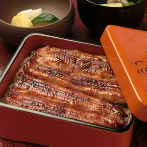 【2025年9月～順次発送】うなぎ 蒲焼 2人前 桜家 真空パック 鰻 うなぎ 人気 お取り寄せ 三島 静岡 蒲焼 土用丑の日