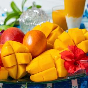 【2026年発送・糖度15度以上保証】頑固おやじのこだわりマンゴー匠 大玉2kg(4～5玉)【配送不可地域：離島】【1675677】