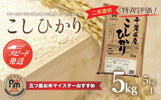 【最短2～7営業日出荷】令和7年産 2年連続特A評価!千葉県産コシヒカリ5kg（5kg×1袋） ふるさと納税 米 5kg 千葉県産 大網白里 コシヒカリ 精米 こめ 送料無料 E006