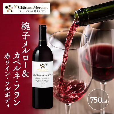 ふるさと納税 上田市 椀子メルロー カベルネ・フラン 750ml シャトー・メルシャン メルロー 赤[54040410]