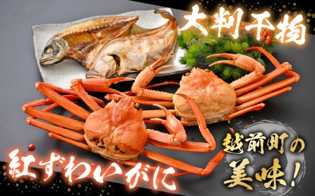 【訳あり】浜茹で 紅ずわいがに 2杯 & 大判干物「赤かれい・あじ」セット【9月発送分】【越前産 紅ズワイガニ カニ かに 蟹 姿 ボイル 冷蔵 福井県】希望日指定不可 [e14-x003_09]