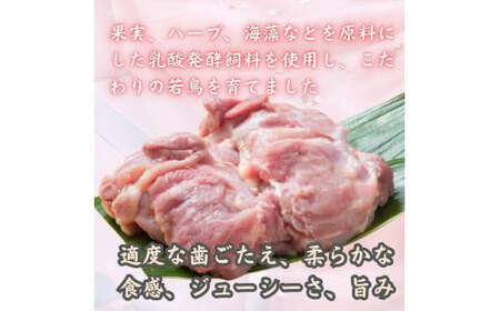 小分けで便利!いろいろな料理に大活躍　佐賀県ブランド鶏ありたどりもも肉合計1.2kg300g×4P L052