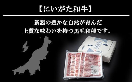 ES123 【無地熨斗】新潟和牛 南魚沼産 にいがた 黒毛和牛 焼き肉用 500ｇ 新潟県 南魚沼市
