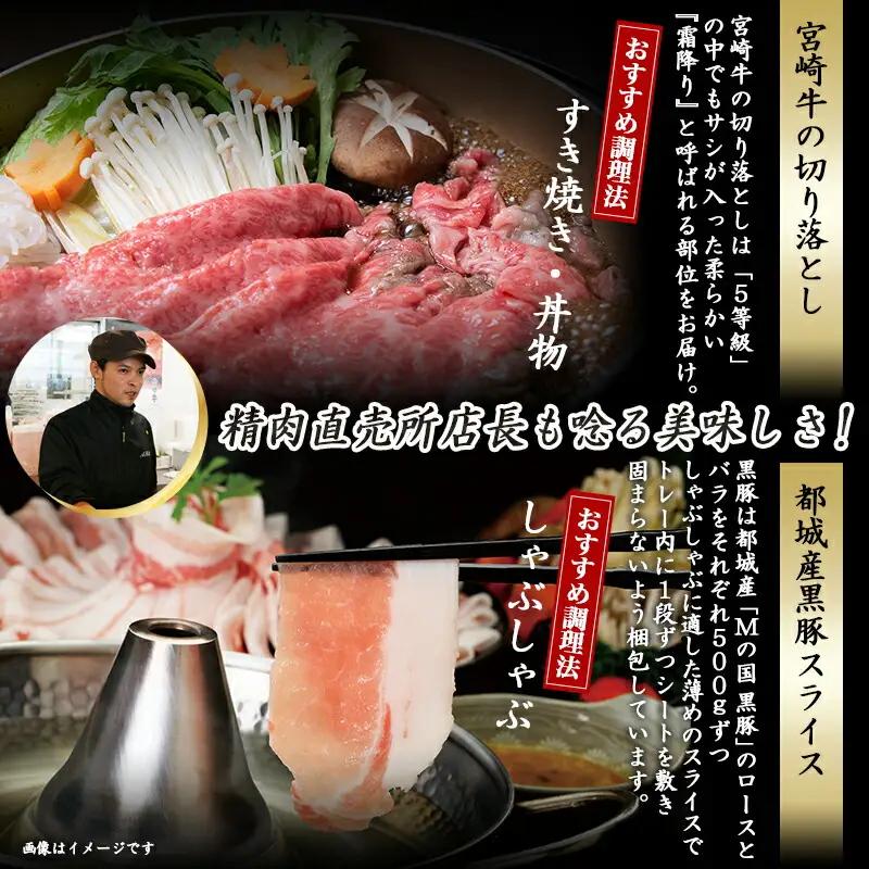 調理法無限大!宮崎牛霜降り(A5)&豚スライス定期便(2ヶ月)〔T30（2）-0103〕_(都城市) 宮崎牛 霜降り切り落とし ローススライス バラスライス しゃぶしゃぶ用