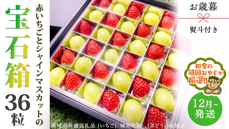 
            【 お歳暮 熨斗付 】赤いちごとシャインマスカットの宝石箱 36粒【2025年12月から発送開始】（茨城県共通返礼品 [いちご]：城里町産　[ぶどう]：結城市） いちご 苺 イチゴ 白いちご 白イチゴ シャインマスカット マスカット 宝石箱
          