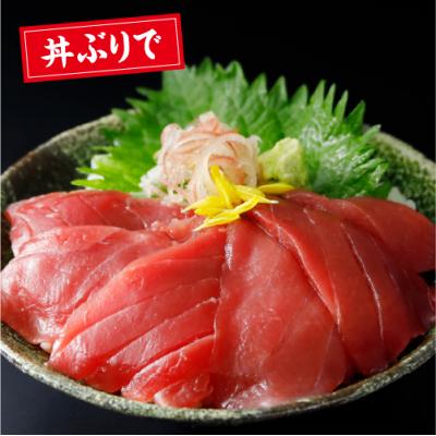 ふるさと納税 むつ市 津軽海峡　大間産　極上本マグロ　刺身用サク　赤身 |  | 02