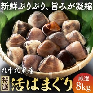 九十九里産 活け はまぐり 約8.0kg/85?110個位 九十九里浜 千葉ブランド認定品 天然 はまぐり はまぐり はまぐり はまぐり はまぐり 蛤 蛤 蛤 蛤 蛤