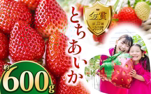 【先行予約】とちあいか約600g | 送料無料 とちあいか いちご フルーツ 甘い ジューシー苺 ｲﾁｺﾞ ハート ハート型 ﾊｰﾄ 断面 果物 おいしい 栃木県 下野市